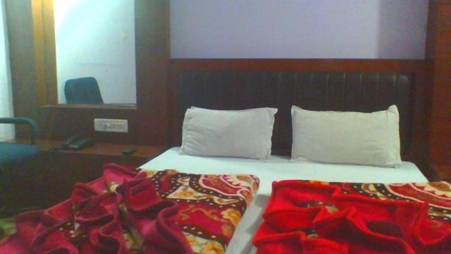 Sahara International Deluxe Hotel นิวเดลี ห้อง รูปภาพ