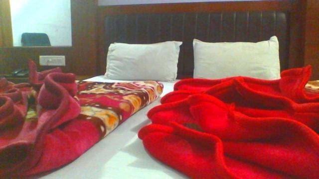 Sahara International Deluxe Hotel นิวเดลี ห้อง รูปภาพ